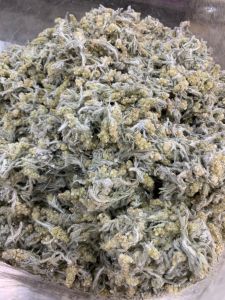 หญ้าชิวคัก 200กรัม หญ้าหญ้านางนวล หญ้าทำขนมเทียน เท่านั้น 200กรัม 💥กดรับคูปองส่งฟรี ก่อนสั่ง