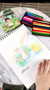 Krayon Set 12/24 Warna Cerah Bentuk Segitiga Ergonomis Tidak Beracun Bisa Dicuci Set Krayon