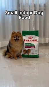 Royal Canin Mini Indoor Adult 7.5kg Dry Dog Food - Size Health Nutrition | Premium Kibbles for Small Breed Dogs Up to 10kg | Supports Digestion Stool Odour Reduction Weight Management and Healthy Skin & Coat [New Stock]