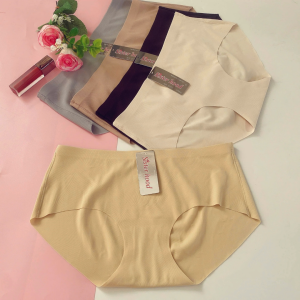 Quần lót su đúc không viền Sister hood 2010 / 2011 Free size XL