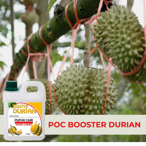 Pupuk Durian Cair 1 liter Tanaman Buah Durian Cepat Berbunga Berbuah Tidak Rontok Bunga