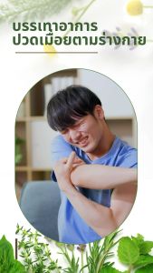 แพ็ค 5 หลอด ไพลจีซาล PHYTO CARE 30 กรัม