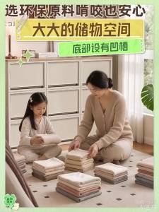 IRIS | Transparent Drawer Type Plastic Large Capacity Storage Box