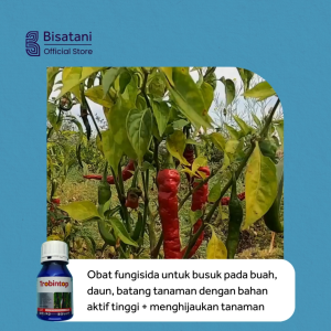 Trobintop 80ml Obat Anti Busuk Buah Tanaman Ampuh Obat Patek Cabai Obat Jamur Busuk Buah pada Tanaman Cabe Tomat