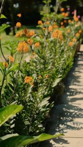 Mybamus Dania Overall Cargo Dress: Pakaian Kerja Nyaman & Stylish