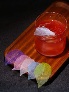 BarSoul Assorted Sizes Colors True Leaf Decorations 10 Pieces Set Cocktail Decoration Items Natural Looking Specimen Leaves