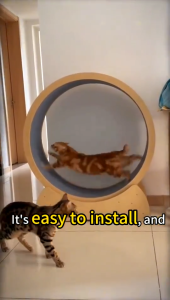 ลู่วิ่งแมว ขนาดใหญ่ ล้อวิ่งไม้ วงล้อ กรงล้อแมว สำหรับสัตว์เลี้ยง