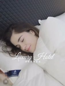 White Cotton Comforter Duvet Filler - All Season Blanket Duvet - 100% Polyester for Home and Hotel Quilts