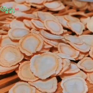Panax Ginseng 西洋参 泡参 花旗参 泡参片 人参片 长白山 优质切片 Ginseng Slice 西洋花旗参 美国花旗参