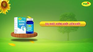 Xương khớp PQA hộp 100 viên dùng cho người bị đau nhức xương khớp viêm khớp thoái hóa khớp