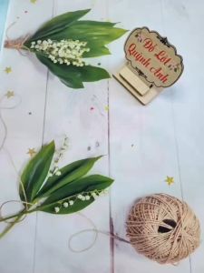 Combo10 quần lót nữ from to thông hơi hoa gấmSize từ 50-60 kg ( 88639) Co giản thoáng mát  - Đồ Lót Quỳnh Anh