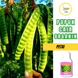 Pupuk Organik Cair Petai 100 Ml Pelebat Tanaman Penggemuk Booster Penyubur By Jagotani Yogyakarta