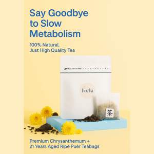Hocha Metabolism Booster | 21 Years Puer + Chrysanthemum | Gut Health Digestion & Detox | 10 Teabags | Resealable Bag