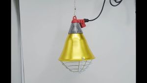 Viddavet Golden Heat lamp with Switch and control for light/Hood and wiring Big golden heat lamp heat lamp holder infrared heat lamp with holder lamp hood brooder heater lamp with  heater brooder pen for chicks brooder pen brooder pen for chicken brooding