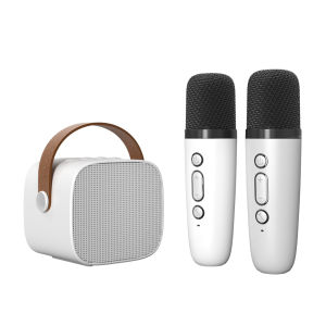 Basix | Karaoke Microphone Set Mini Bluetooth Speaker Sound System Best Kids Gift for Children for Home Outdoor Entertainment KTV