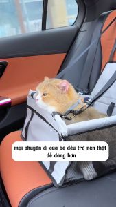 Ghế ngồi cho chó mèo trên ô tô Ghế ngồi ô tô cho thú cưng - Ghế trên xe cho chó có thể giặt lại