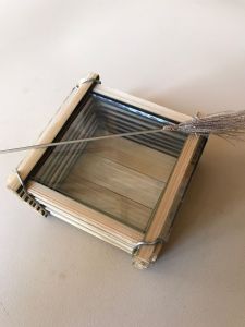 kandang jangkrik masteran burung / kandang jangkrik aduan 1 slot / rumah jangkrik kaca
