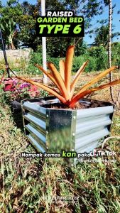 [Type 6] Home Store Galvanized Raised Garden Bed For Flowers Vegetable Plant Bingkai Tanaman 50CM (L) x 50CM (W) x 30CM (H)