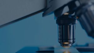 PLASTIC BAG IN PE 100S