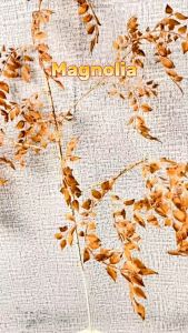 Artificial Large Magnolia Leaf Daun Imitasi Palsu Dekorasi Hiasan Rumah