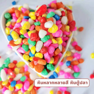 Pro หินใส่ตู้ปลา หินประดับ ตกแต่งสวน 100g / ต่อแพ็ค Colorful Stones
