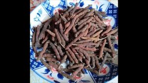 ดีปลี ดีปลีแห้ง สมุนไพร เครื่องเทศ