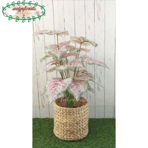 Pohon Imitasi Artificial Daun Calladium Pink Semilatex Cover Eceng Gondok Dekorasi Ruang Tamu