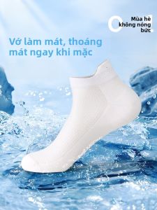 MiiOW | Tất lưới thoáng khí Ice Silk cho nam mùa hè chống trượt thấm hút mồ hôi chống khuẩn không rơi gót tất ngắn thoáng khí