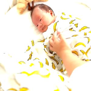 Le Petit Society Organic Newborn Baby Swaddle - Cranes