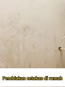 DDOXOO impor AS Semprotan Penghilang Jamur pakaian dinding Spray pembersih jamur penghilang jamur baju kaca Cairan Penghilang menghilangkan Jamur Wall Mold Remover Spray 600ml Pembersih Kulat Kotoran Dinding anti jamur kamar mandi