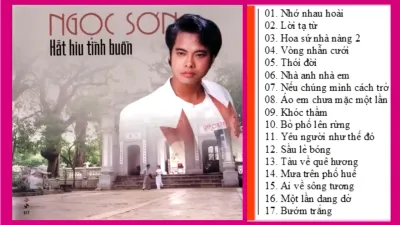 Băng cassette nhạc Ngọc Sơn 1990cực hay