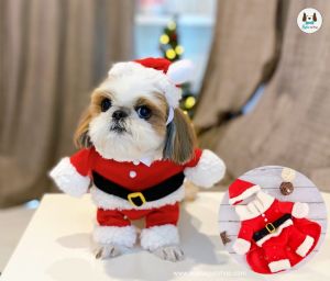 พร้อมส่ง! ชุดคริสต์มาส หมา แมว น่ารัก (เล็ก-กลาง) พร๊อพหรู มีให้เลือกเยอะ ชุดซานต้า ผ้าคลุม ผ้าพันคอ ปลอกคอกระดิ่งทอง Dogs & Cats Christmas Costume