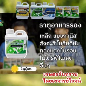 อาหารพืช เซฟตี้แพลนท์ Safety Plant กระตุ้นการแตกใบอ่อน ช่วยให้ใบเขียวเข้ม ดำ มันวาว สำหรับต้นทุเรียน #ต้นทุเรียน โดยคุณโรจน์ เกษตรรับทราบ ต้นทุเรียน - Lazada