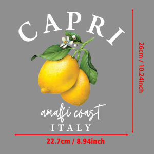 Capri Amalfi Coast Italy Lemon Vintage Art Print Patches for Clothes Iron-on Transfers Thermo-Stickers for Printing for Clothes
