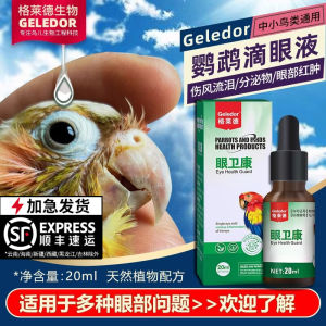 Parrot Peony Eye Common Disease Conjunctivitis Eye Drops One Drop Magic Single Eye Cold Eye Medicine Non-Bird Medicine