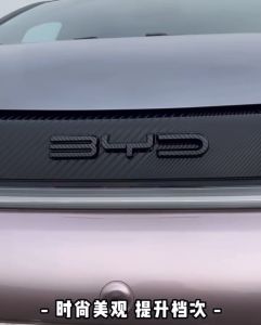 [READY STOCK]BYD Dolphin Logo Emblem Carbon Fiber Piano Black Logo Front Sporty Cover for BYD Dolphin Accessories