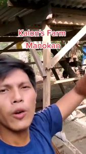 30M/70M/120M Range Net Chicken Net Poultry Net Chicken Net Outdoor Lambat Poultry Net Ranging Net All Purpose Net