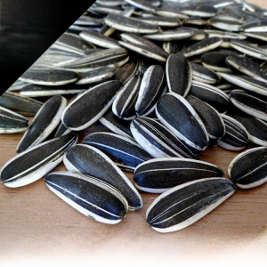 Large Particle Raw Sunflower Seeds from Inner Mongolia  Crispy Original Flavor Unshelled Snack 5 Pounds Bulk Bag