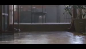 Canon Lens RF 24-105 mm F4-7.1 IS STM - รับประกันร้าน Digilife 1ปี