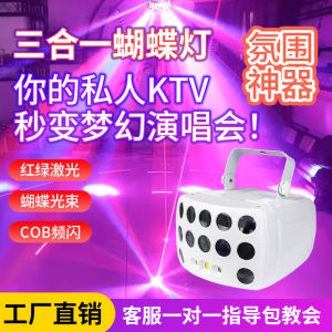 Colorful Rotating Flashing Atmosphere Light Laser Light Butterfly Stage Lighting for Home Use Sound Control Bar KTV Lighting
