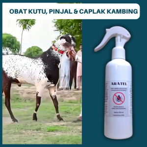 Aratel Obat Kutu Kambing 250ml Semprot Pembasmi Kutu Pinjal Dan Caplak
