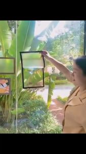 LOVIDA MALAYSIA Nail-FREE A3/A4 Magnetic Frame Magnetic Display Board Frame Wall Stick Frame Photo Certificate Office Adhesive Wall Frame Bingkai Gambar 相框