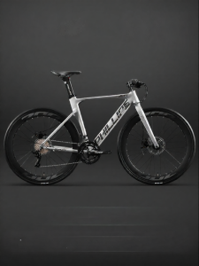 Lightweight Universal Speed Shifting Road Bike