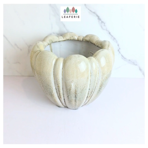 The Leaferie Evara plant pots. Ceramic flowerpot . flowerpots . flower pot . planter . planters . Flowers