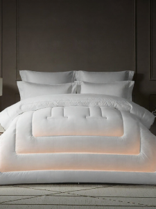 KANGERXIN | Thin Antibacterial All-Season Quilt