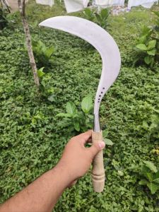 arit rumput cap bintang lima