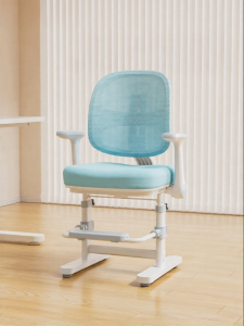 ZHIXUEKU | Adjustable Posture Correction Childrens Study Chair