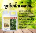 ยูเรียน้ำสูตรเข้มข้น สูตรอินทรีย์ชีวภาพ ไม่มีสารเคมี ไม่มีสารพิษ ไม่ใช่ปุ๋ยเคมี ขนาด 1 ลิตร. 