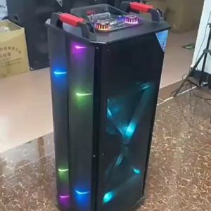 HANSUO Dual 12-Inch Party DJ Kalaoke Speaker with colorful flashing LED lights Outdoor Speakers HS-TD1222