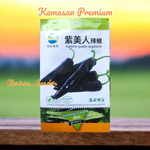 (KEMASAN PREMIUM) BIJI | BENIH BLACK PEPPER | CABE HITAM ( isi -+300 butir)